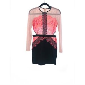 Top Shop Mesh Dress